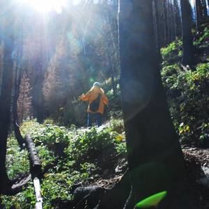 Meet your Posher, Heidi